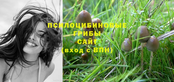 ПСИЛОЦИБИНОВЫЕ ГРИБЫ Алексин