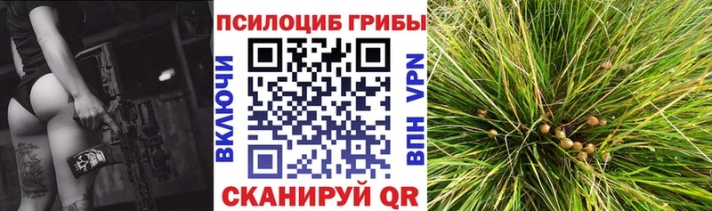 mega tor  Иркутск  Галлюциногенные грибы прущие грибы 